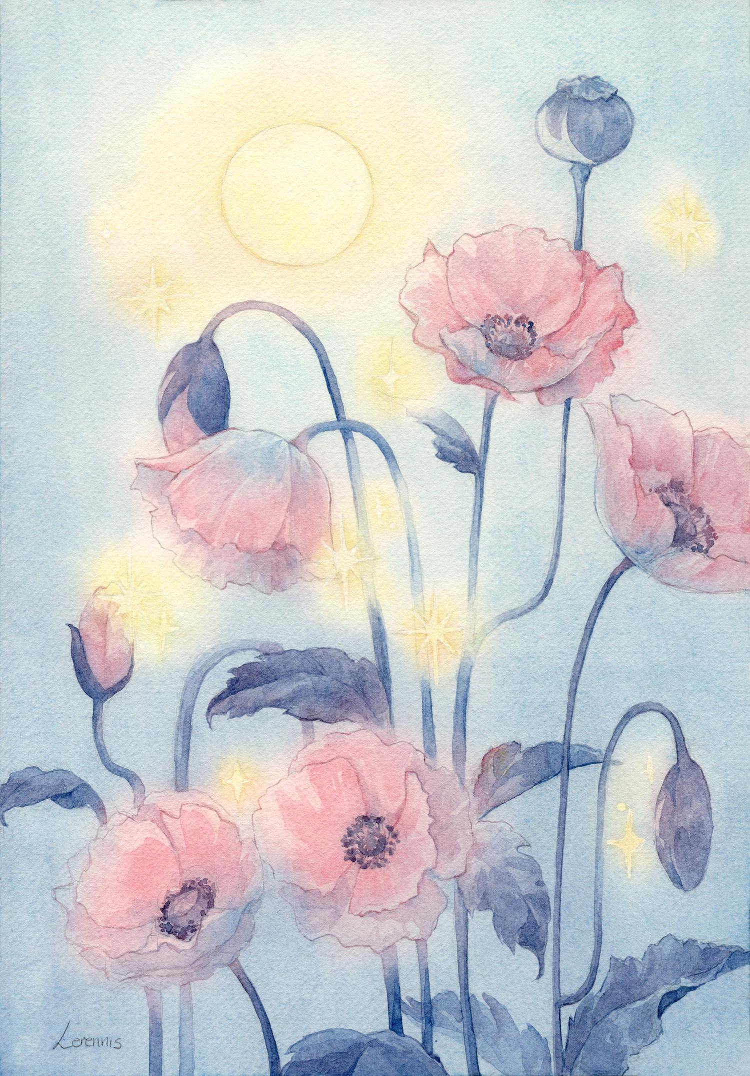 Illustrations